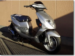 T-REX (CP125)